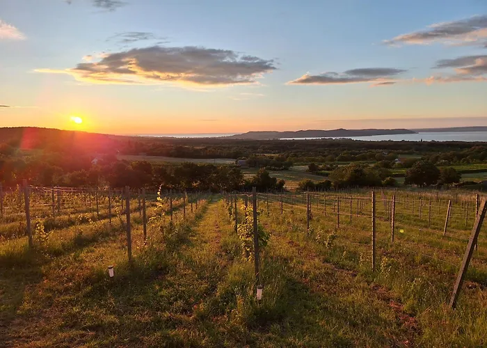 Balaton House * Balatonudvari