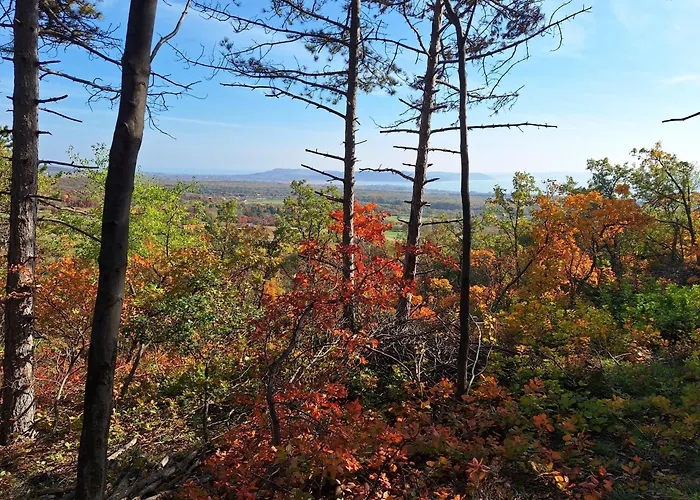 Balaton House * בלטונודבארי